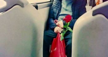 Una rosa rossa.